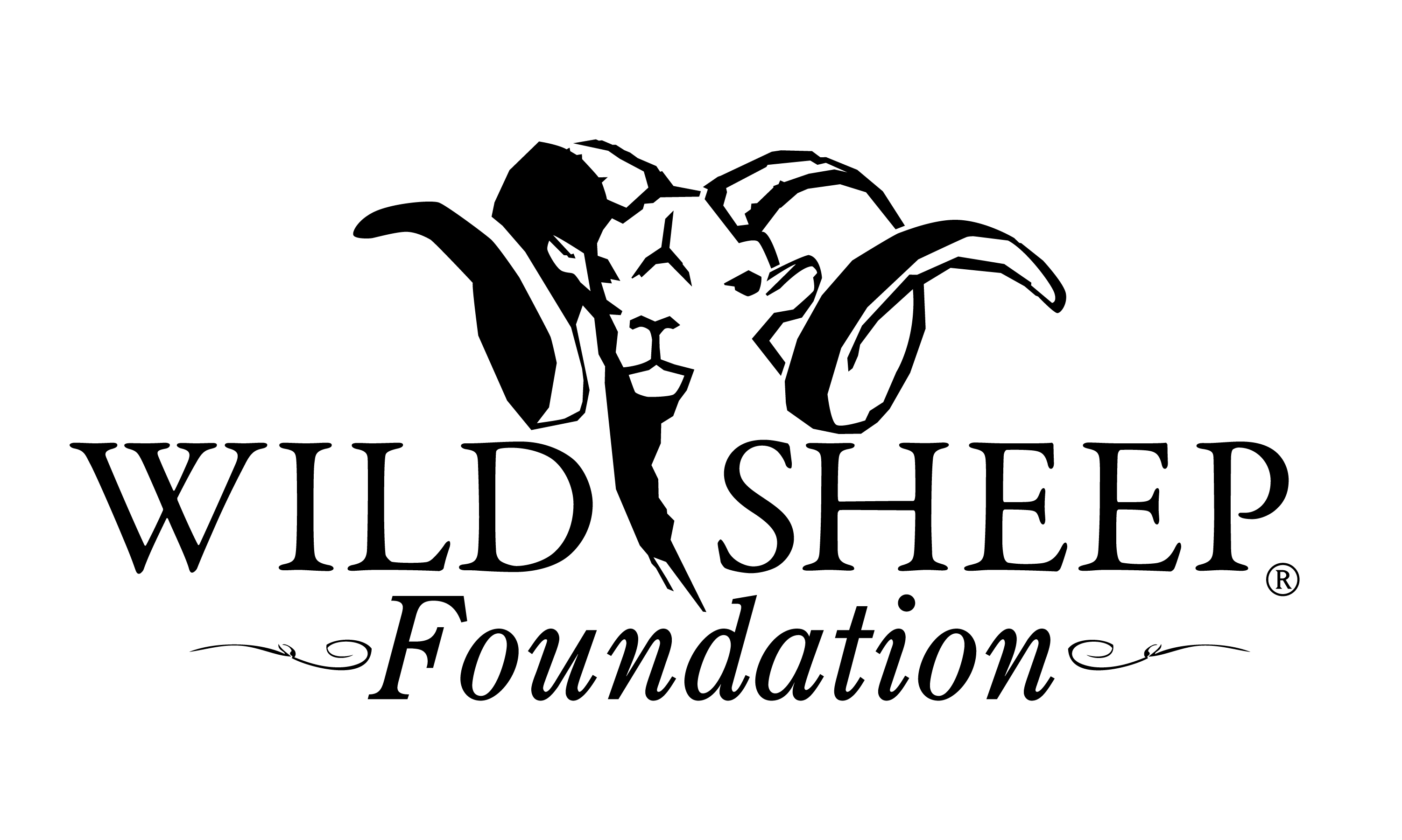 Wild Sheep Foundation Logo